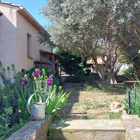 Villa 80 M2 Jardin Terrasse 3 Chambres Provence Volx Buitenkant foto